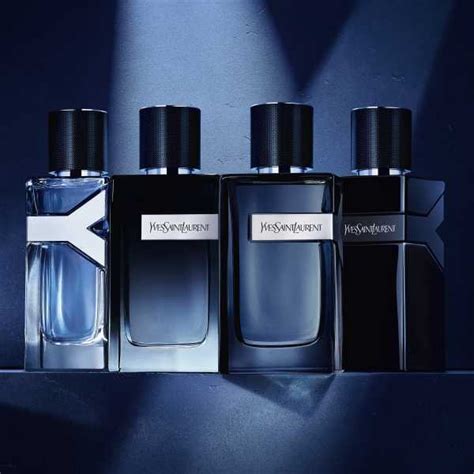 ysl edp intese|ysl y edp intense fragrantica.